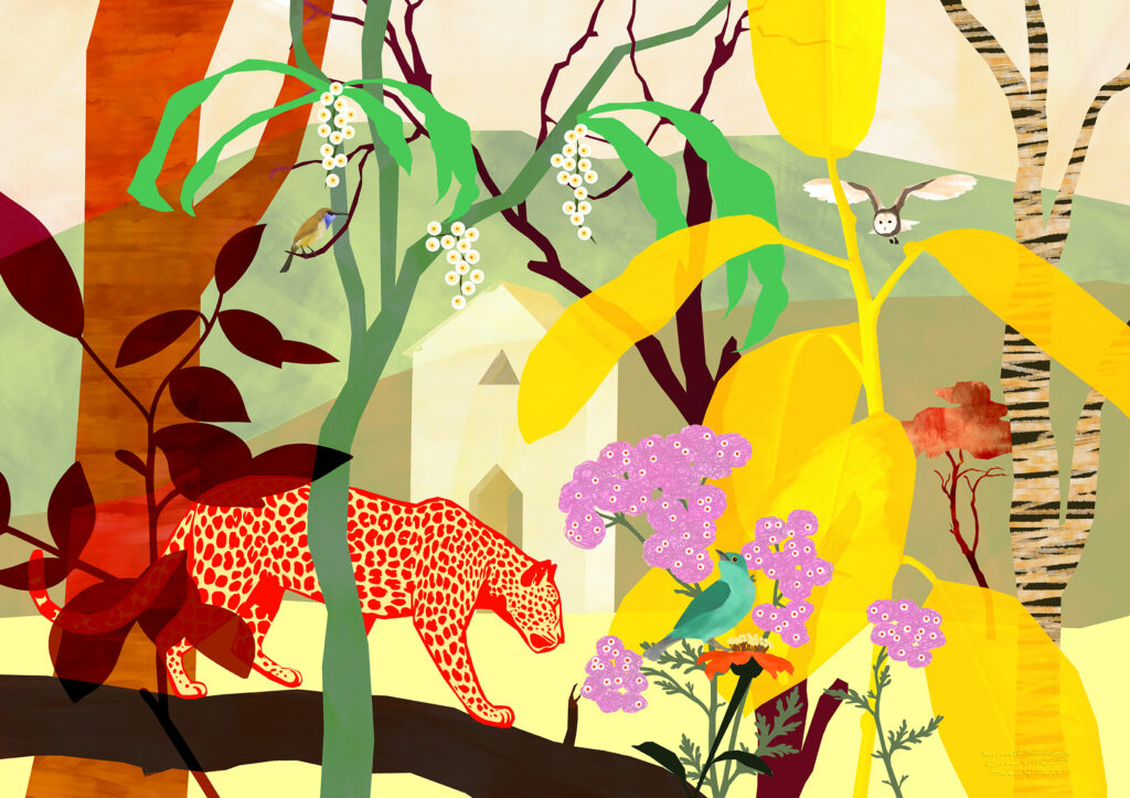 Bushveld Sanctuary © CW 2025 72 Bushveld Sanctuary © CW 2025 72